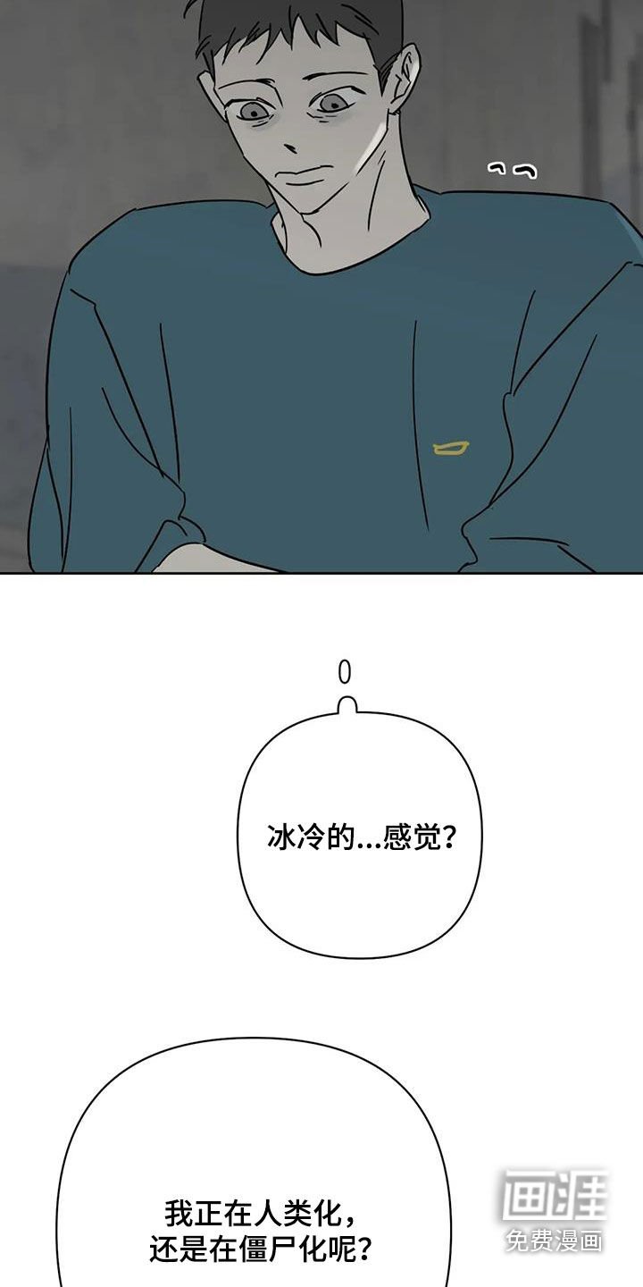 第52章：够了