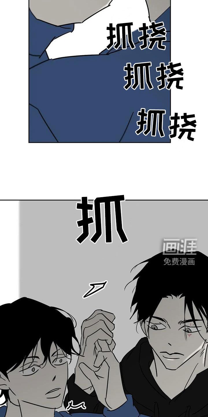 第52章：够了