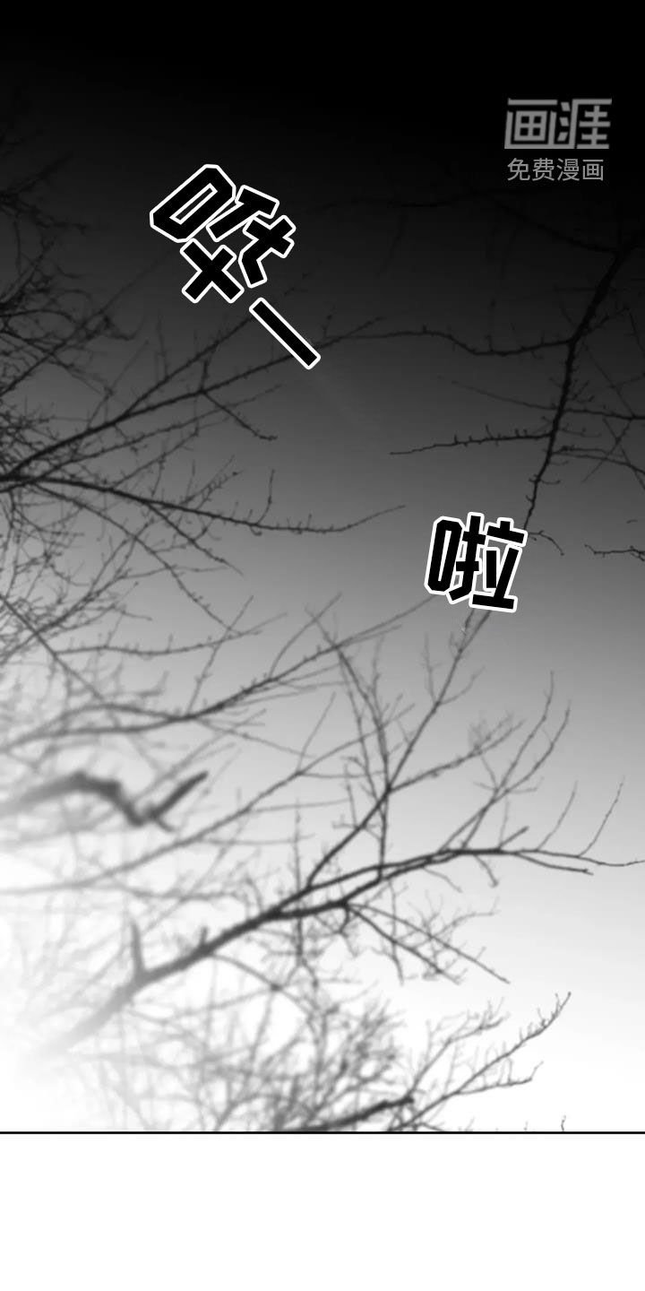 第58章：退化