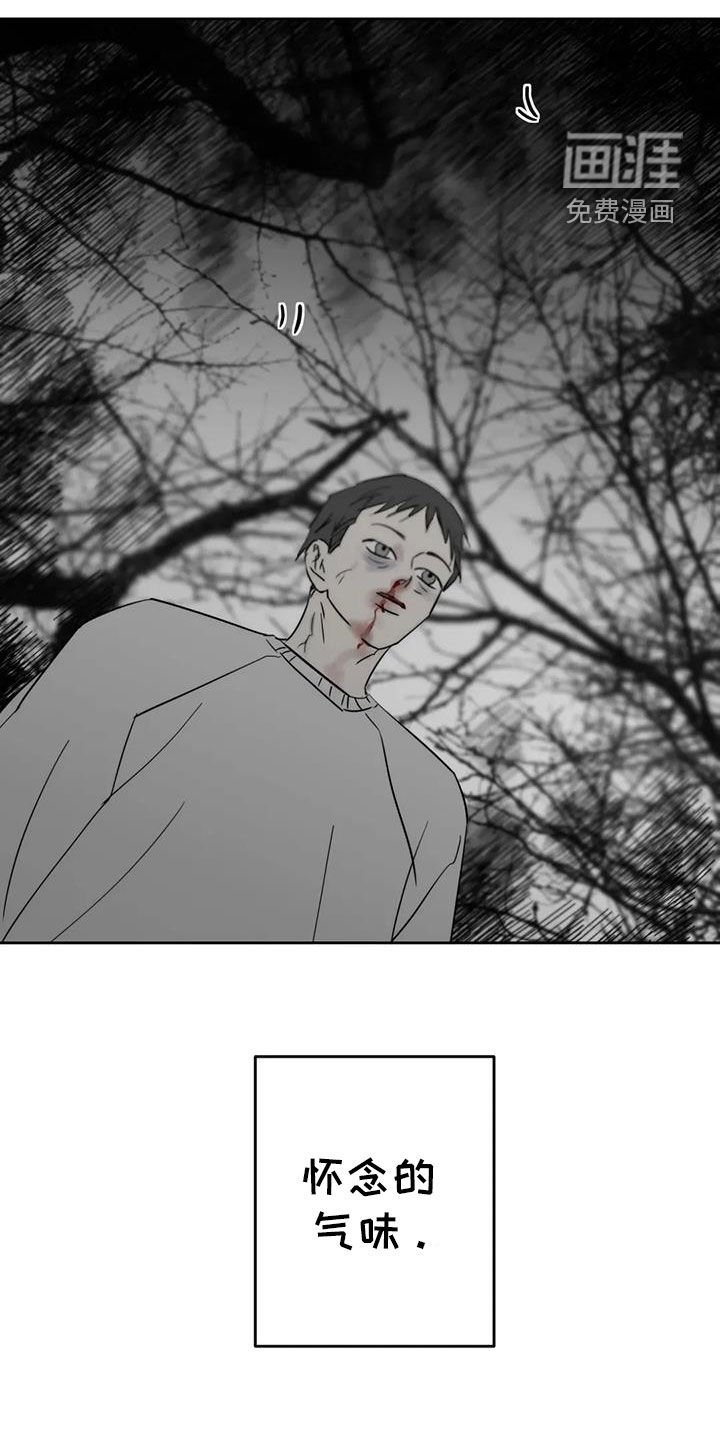 第58章：退化