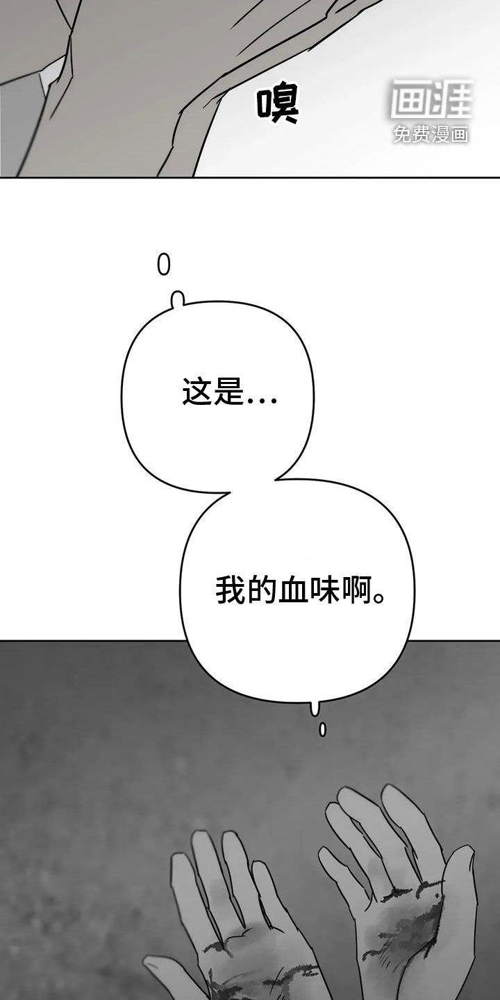第58章：退化