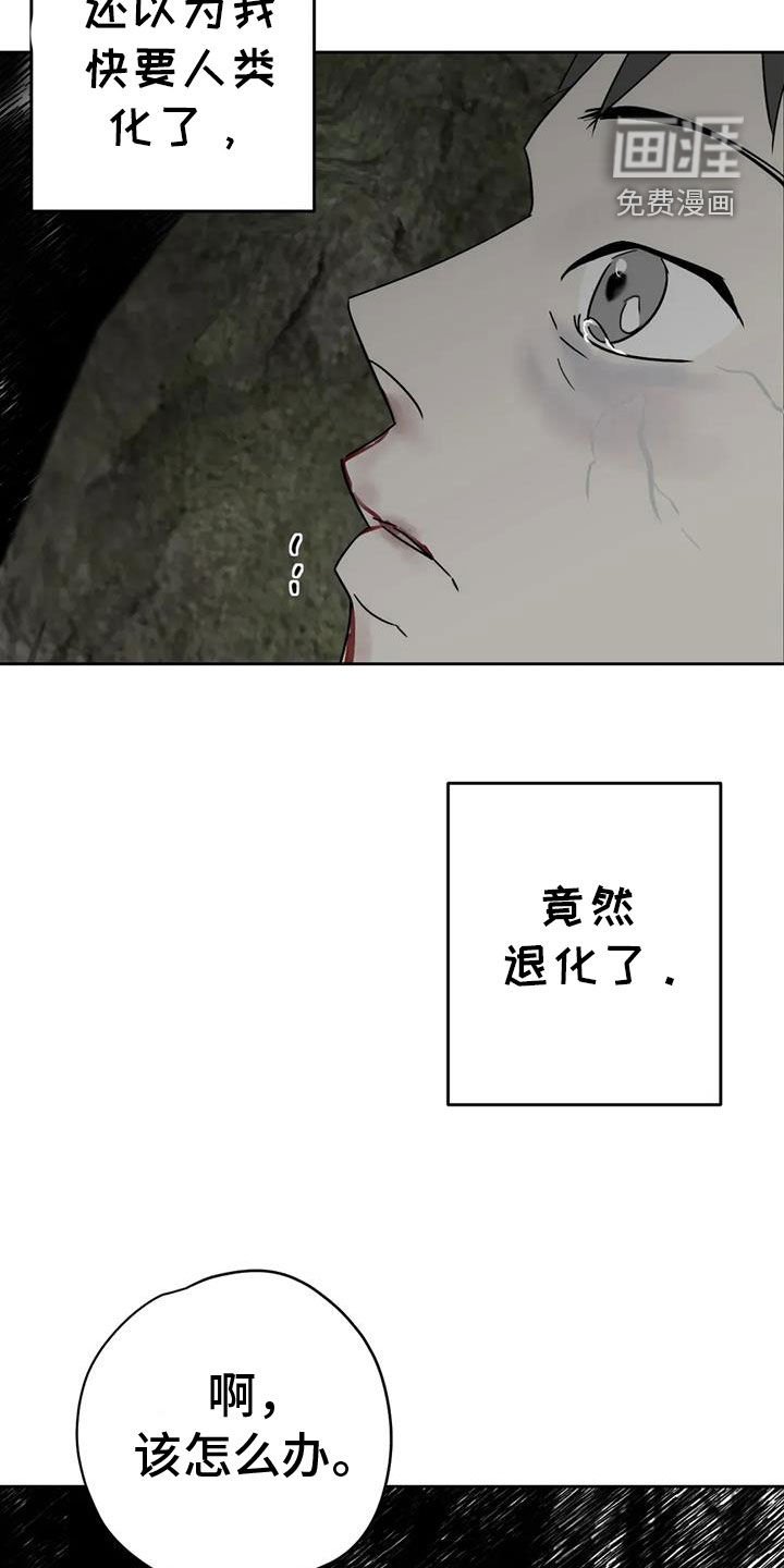 第58章：退化