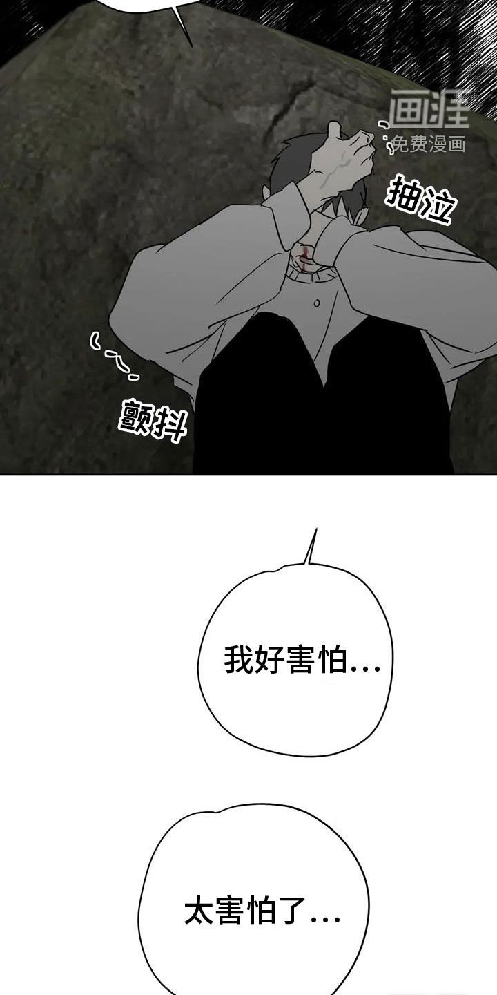 第58章：退化