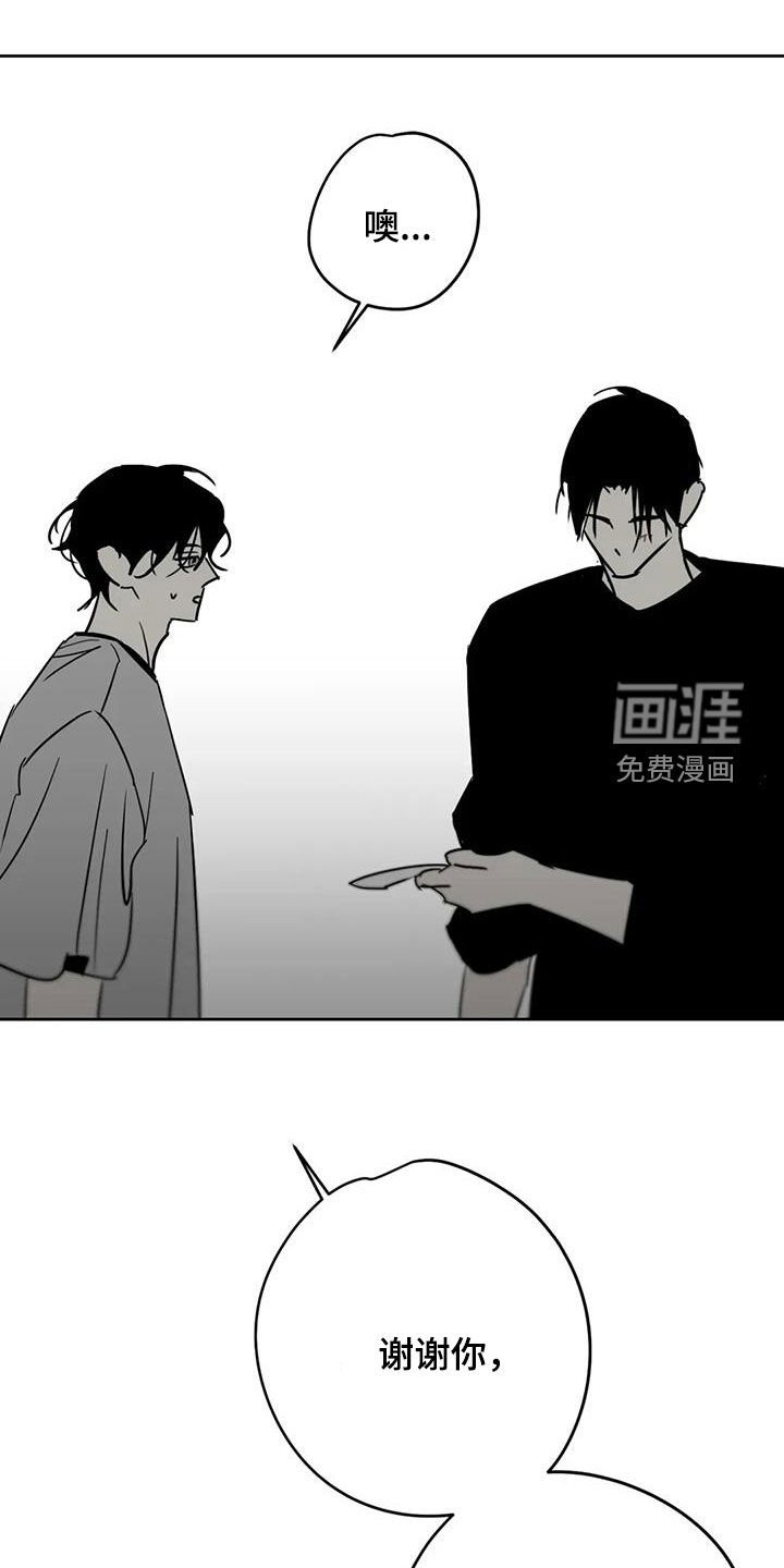 第59章：照片