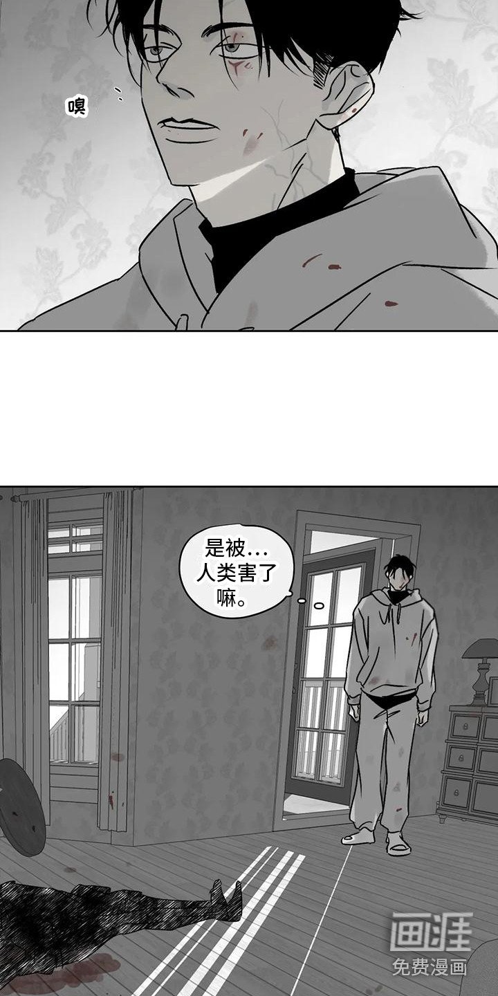 第6章：四处游荡