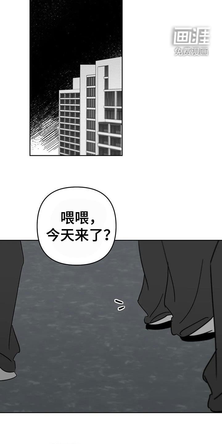 第61章：到底去哪了