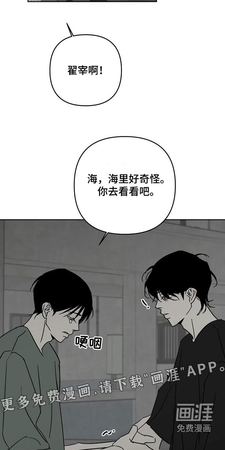 第66章：逃跑计划