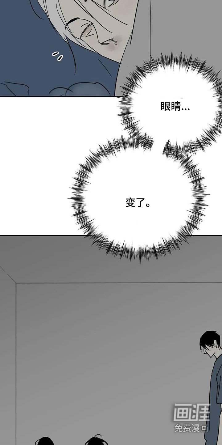第66章：逃跑计划