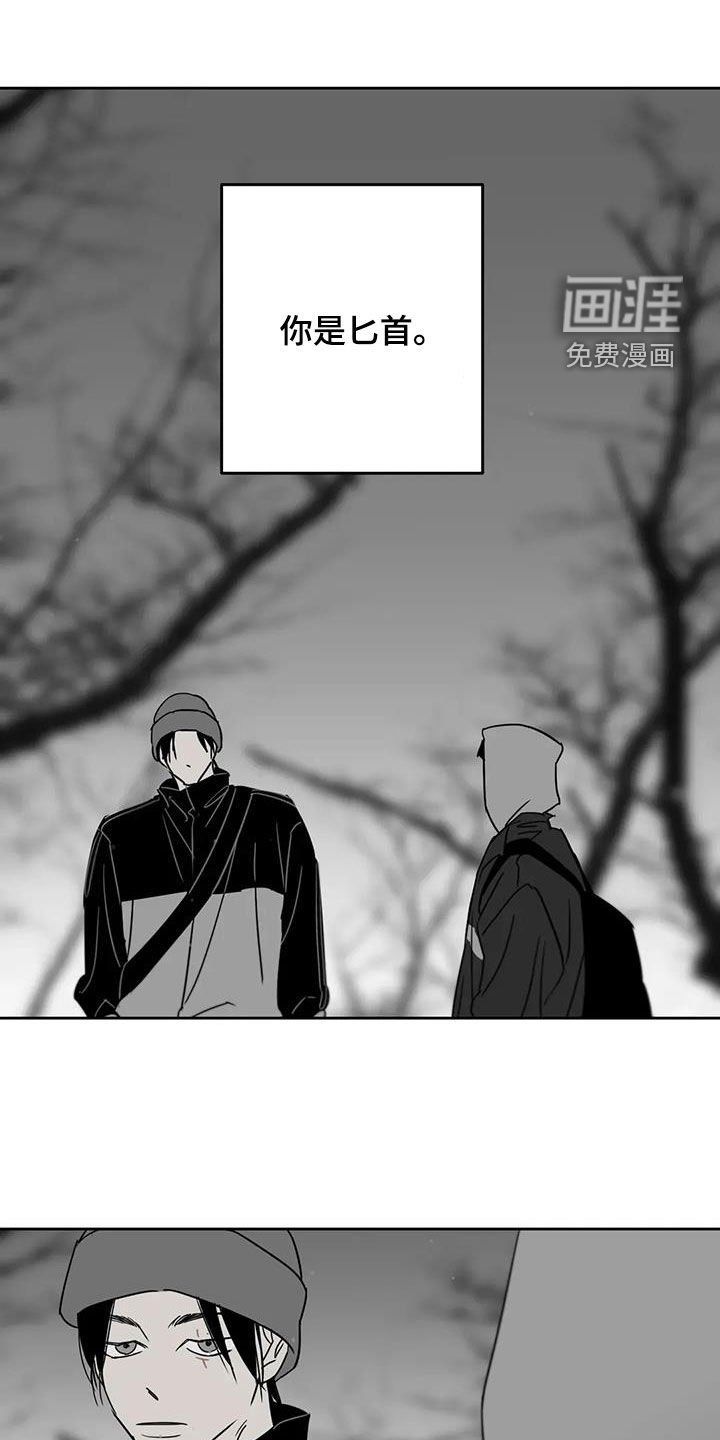 第75章：像人一样活着