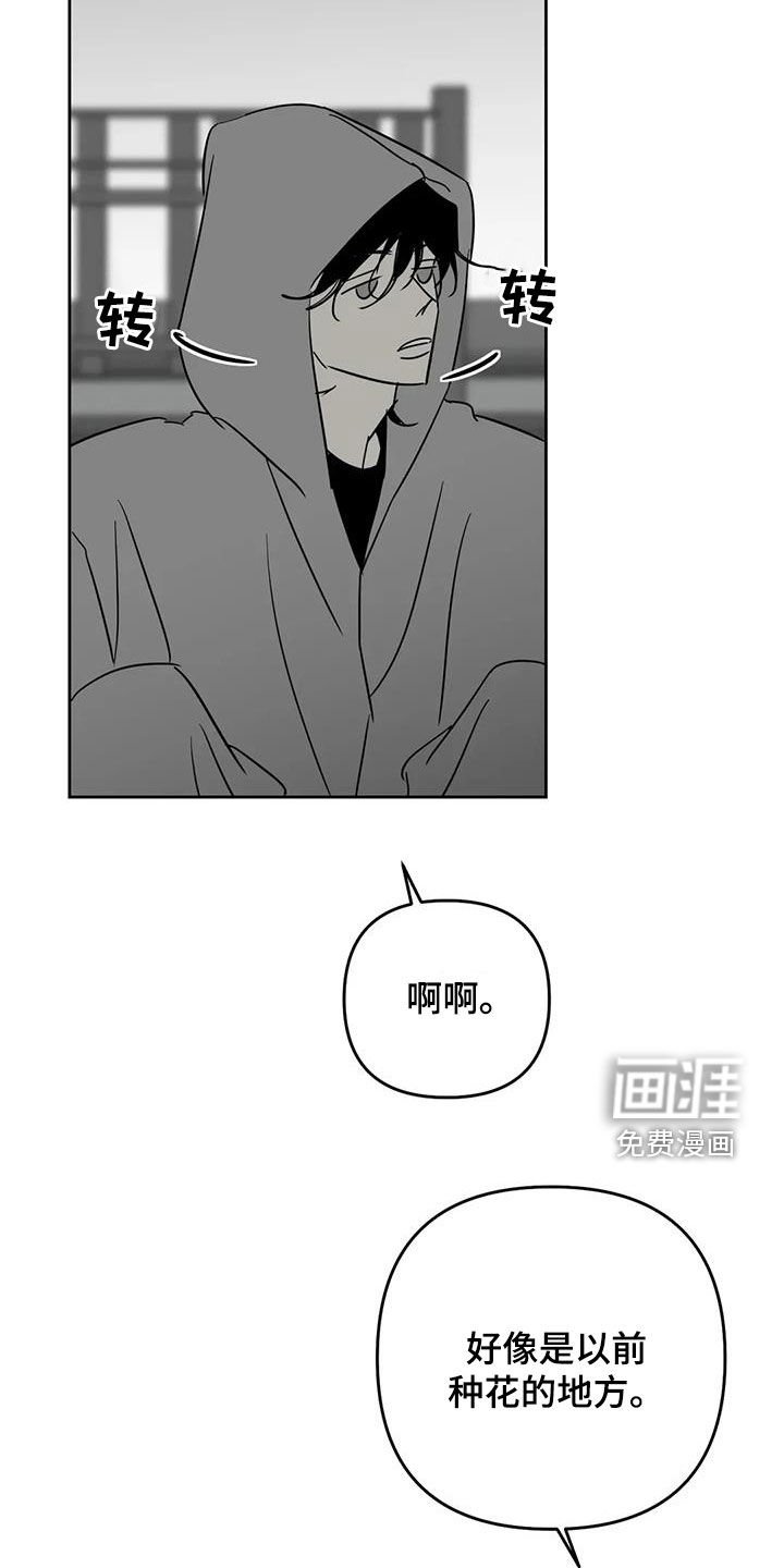 第79章：嫩芽