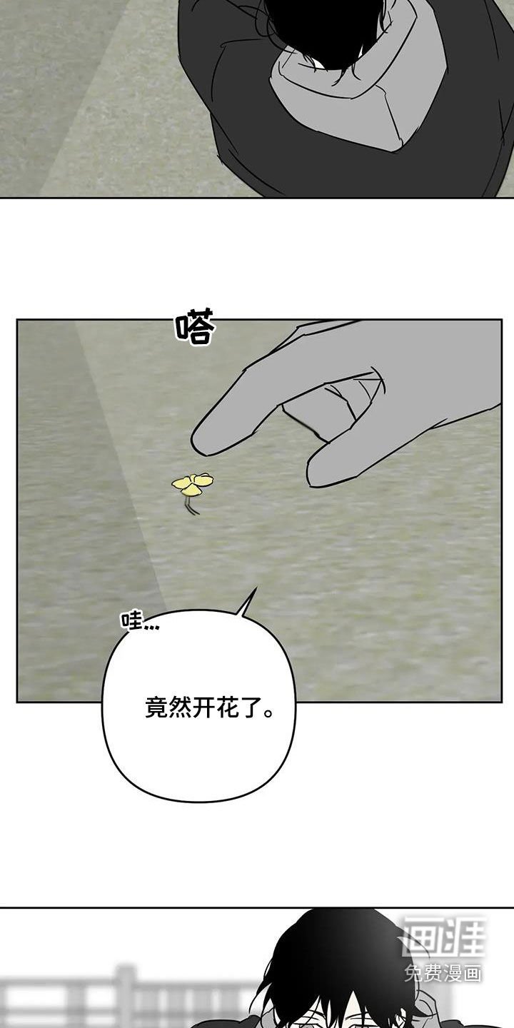 第83章：回忆过去