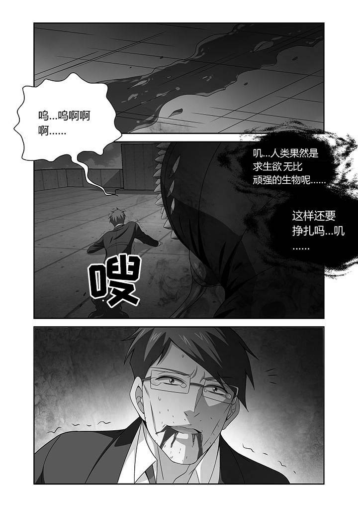 第13章：