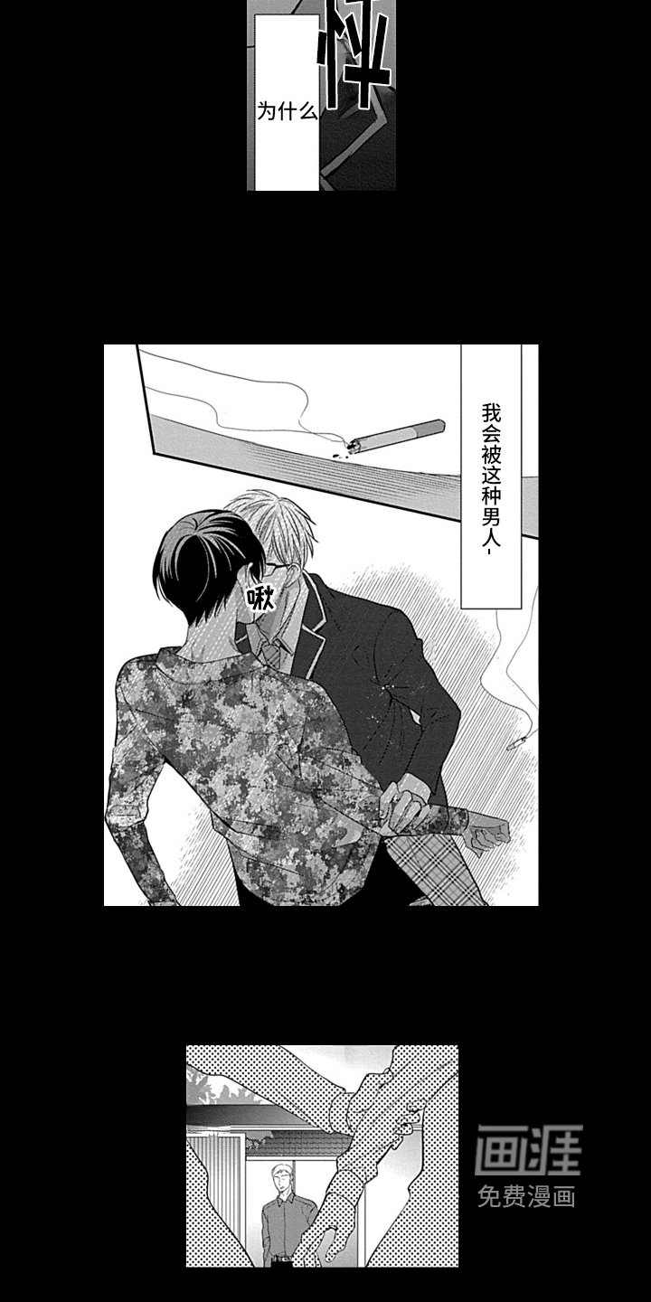 第19章：感情寄托