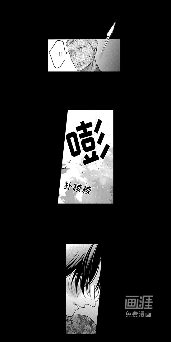 第19章：感情寄托