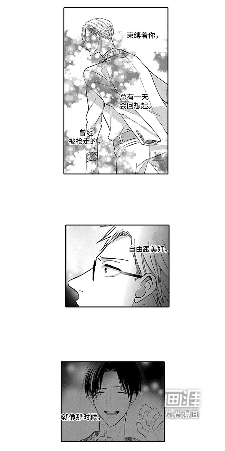 第19章：感情寄托