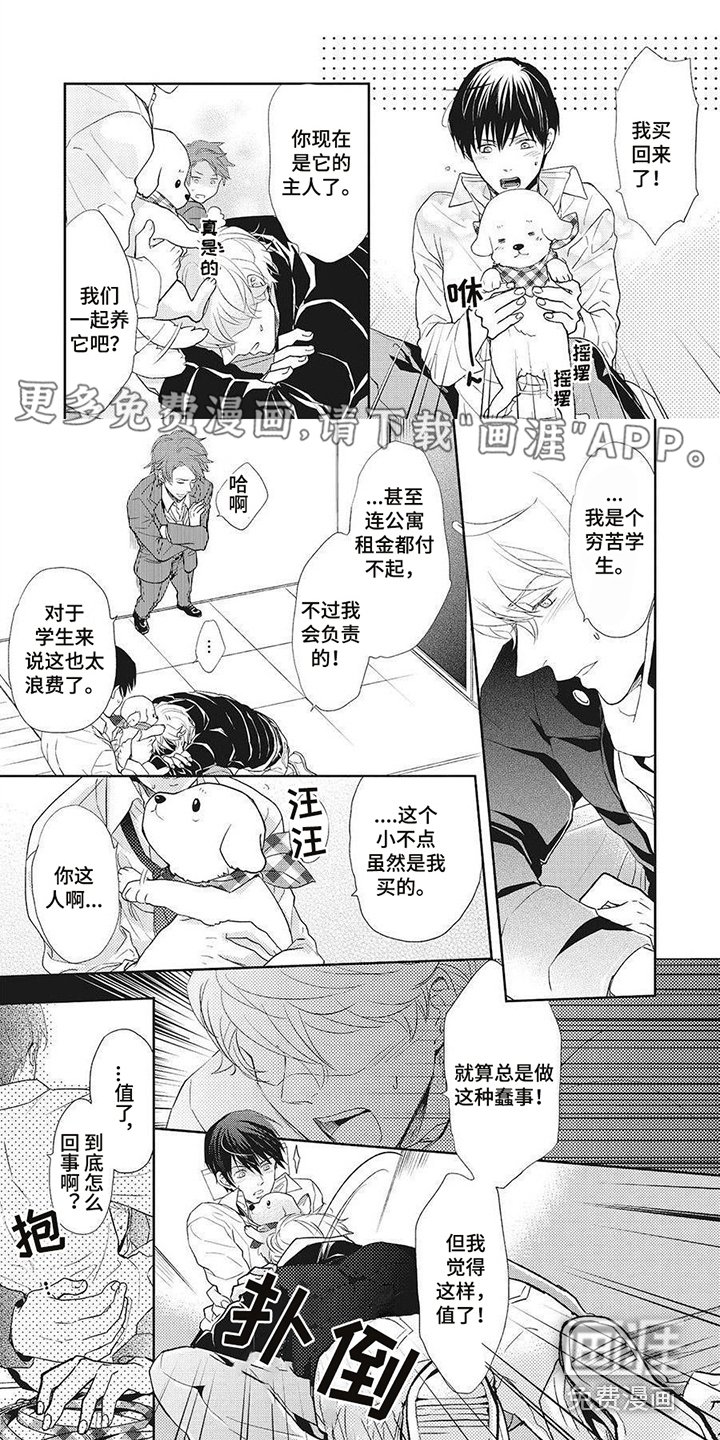 第11章：回巢本能