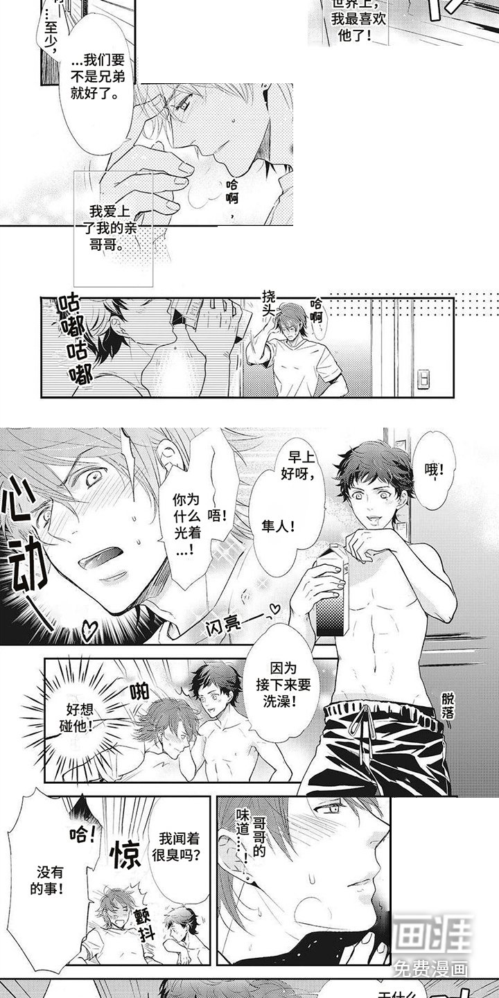 第12章：兄弟