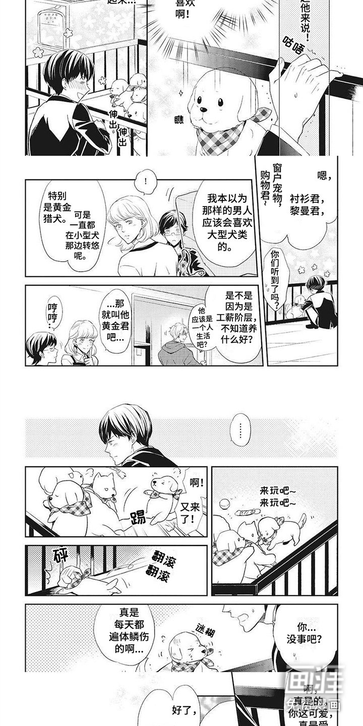 第5章：项圈