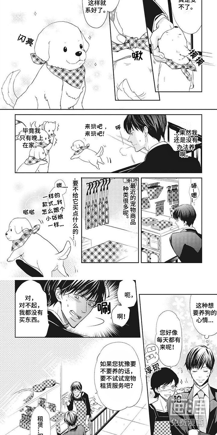 第5章：项圈