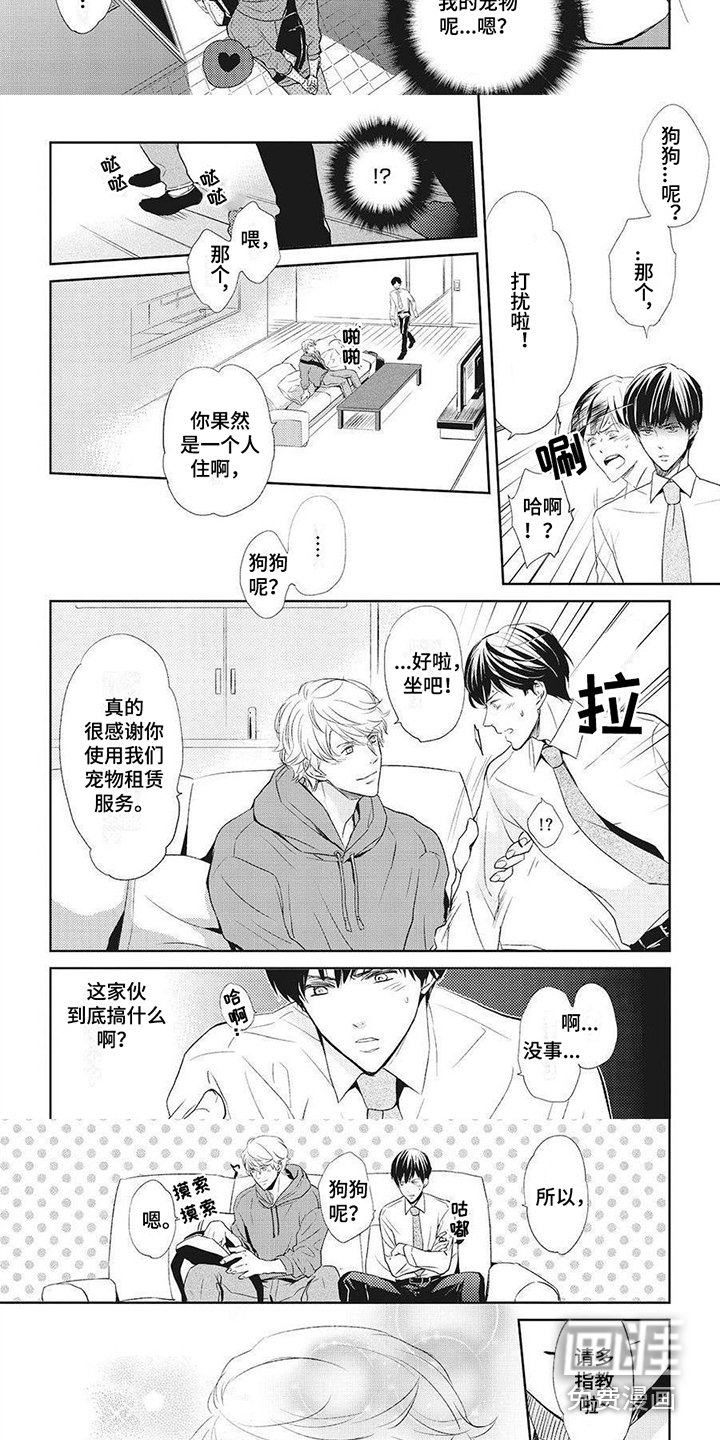 第5章：项圈