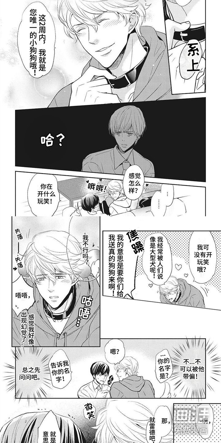 第5章：项圈