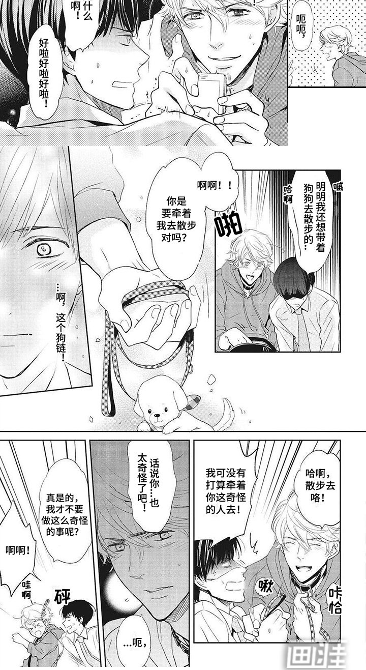 第5章：项圈