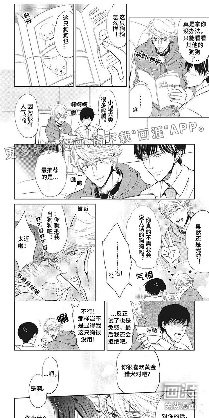 第6章：好好玩耍