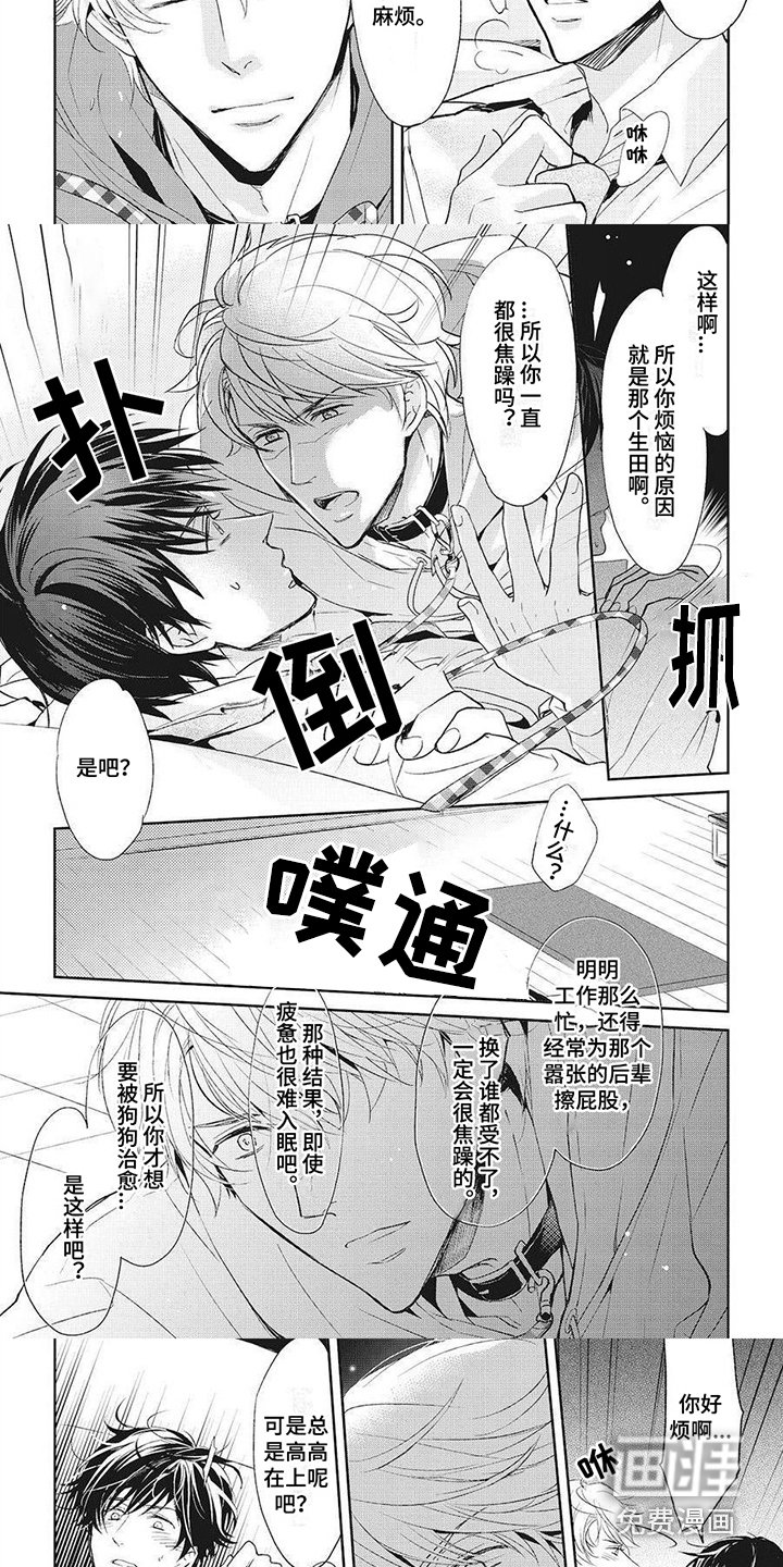 第6章：好好玩耍