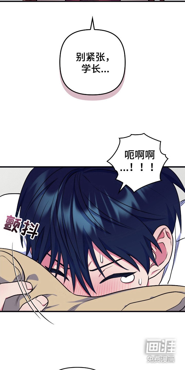 第12章：真好看
