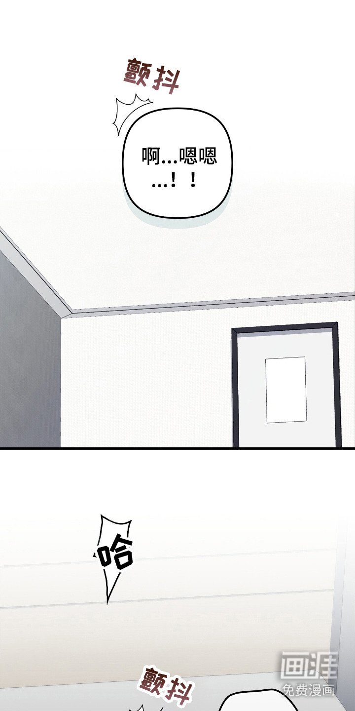 第12章：真好看