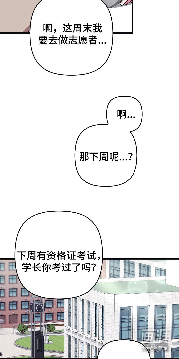 第2章：坠入爱河
