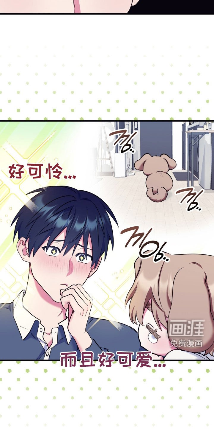 第37章：很期待今晚
