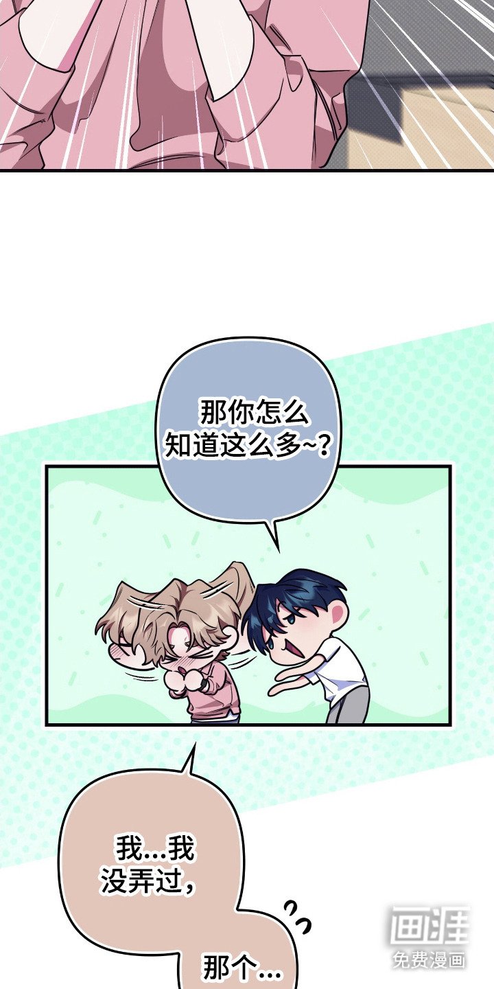 第7章：解释