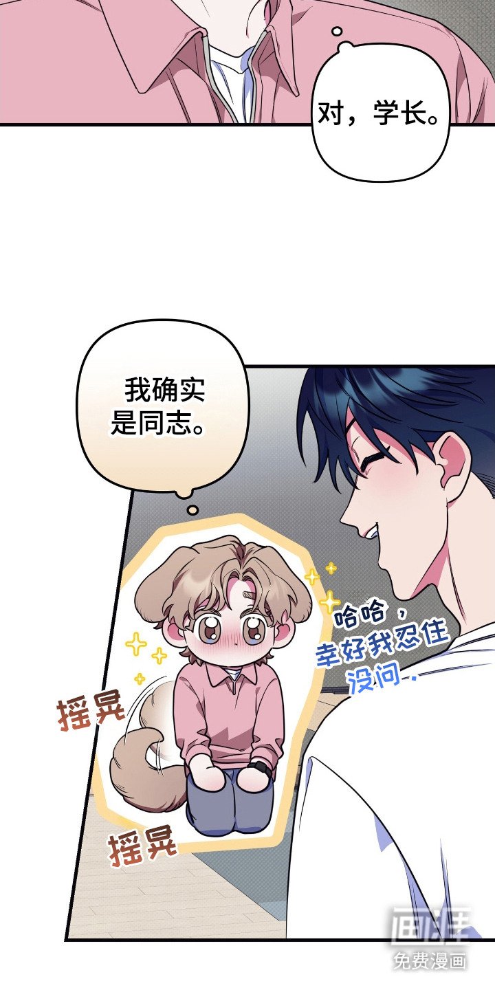 第7章：解释