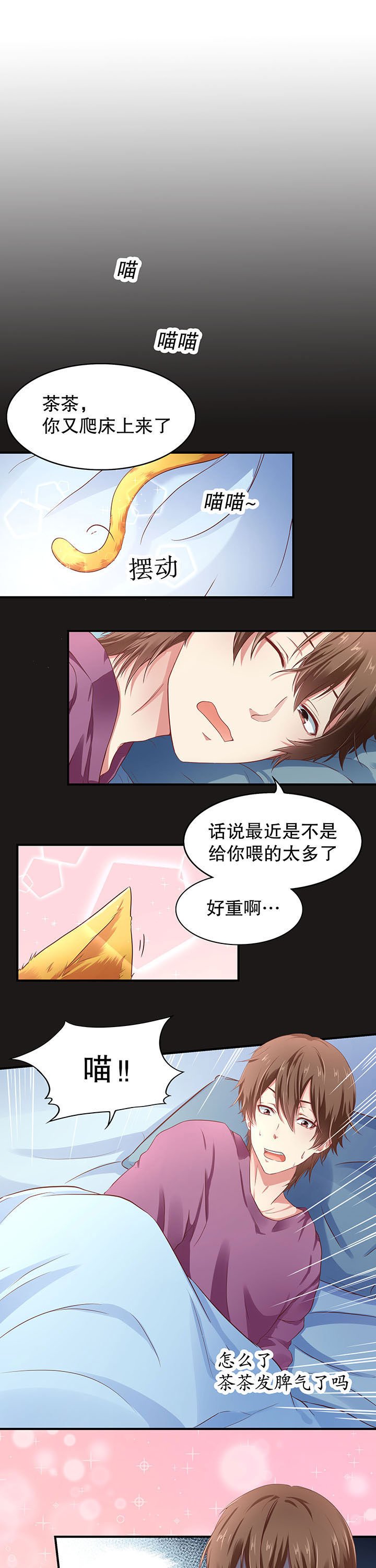 第12章：