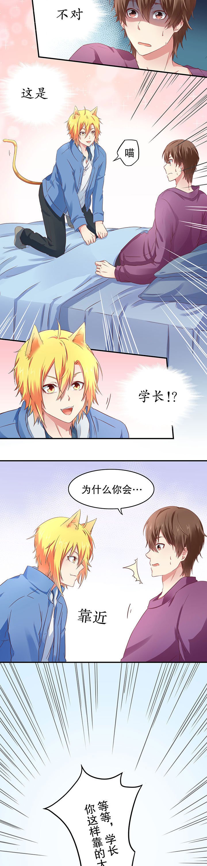 第12章：