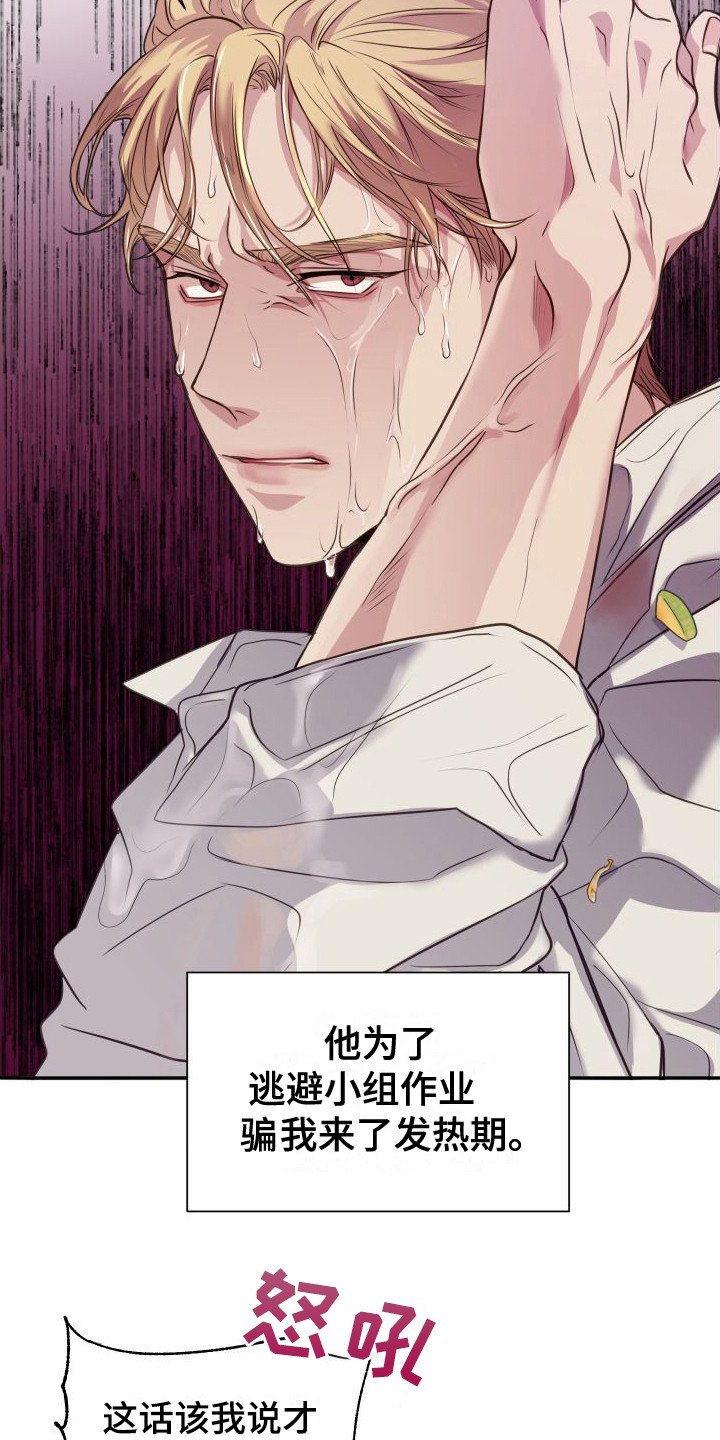 第1章：分为一组