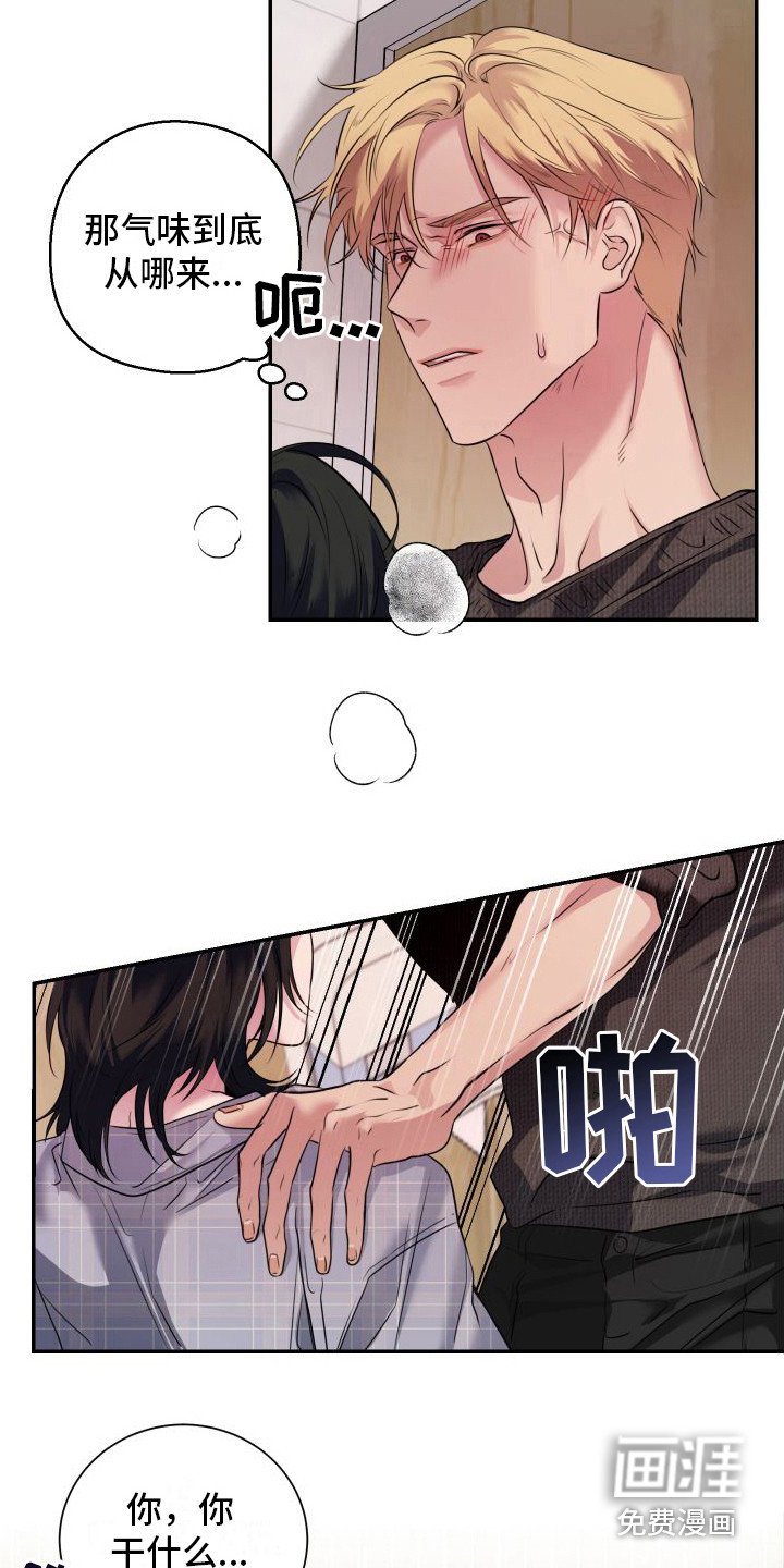 第10章：信息素 