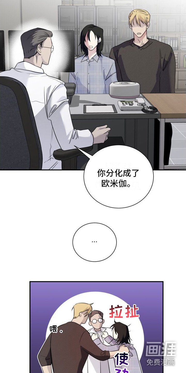 第10章：信息素 
