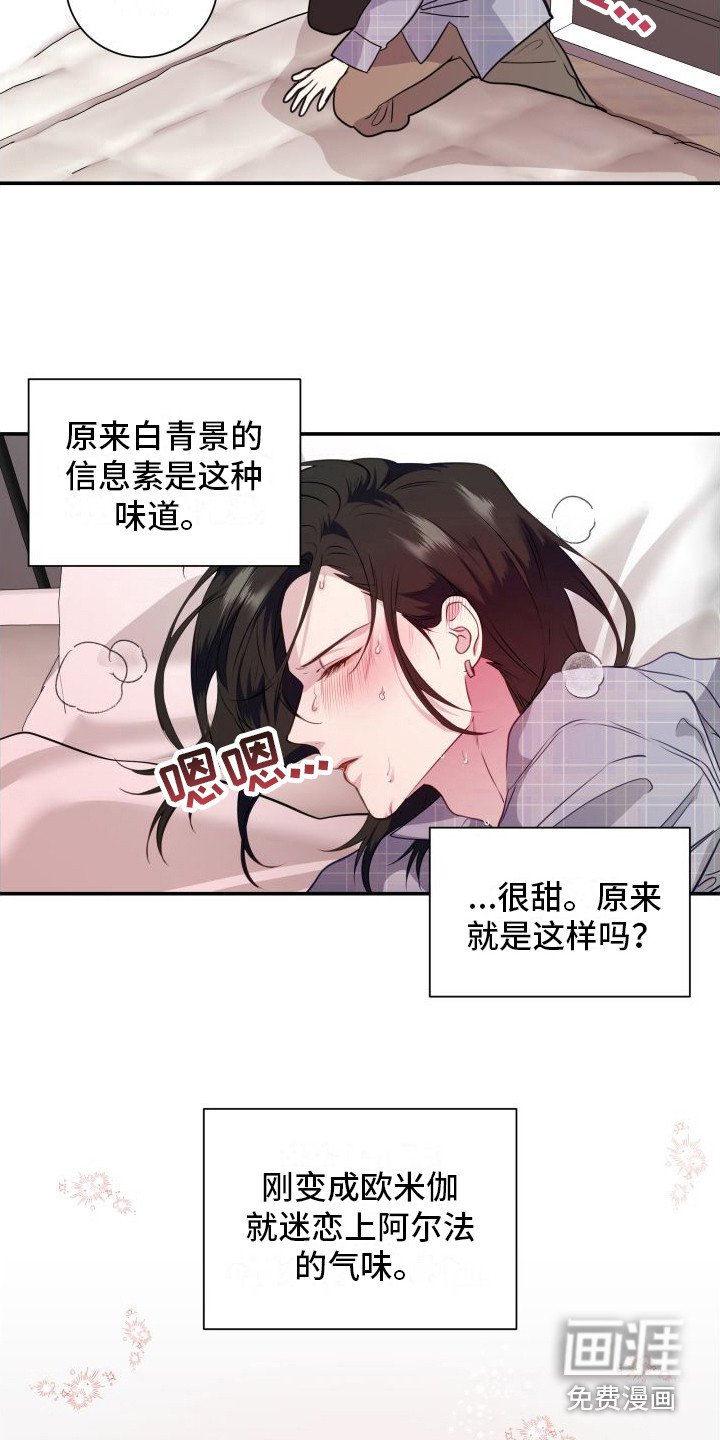 第11章：分化欧米伽 