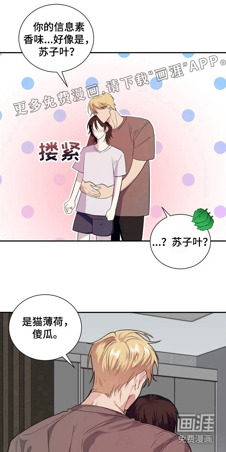 第13章：看着办 