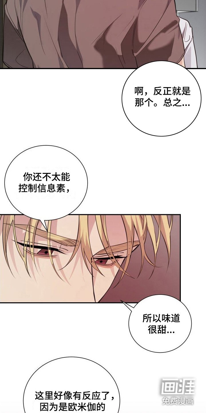 第13章：看着办 
