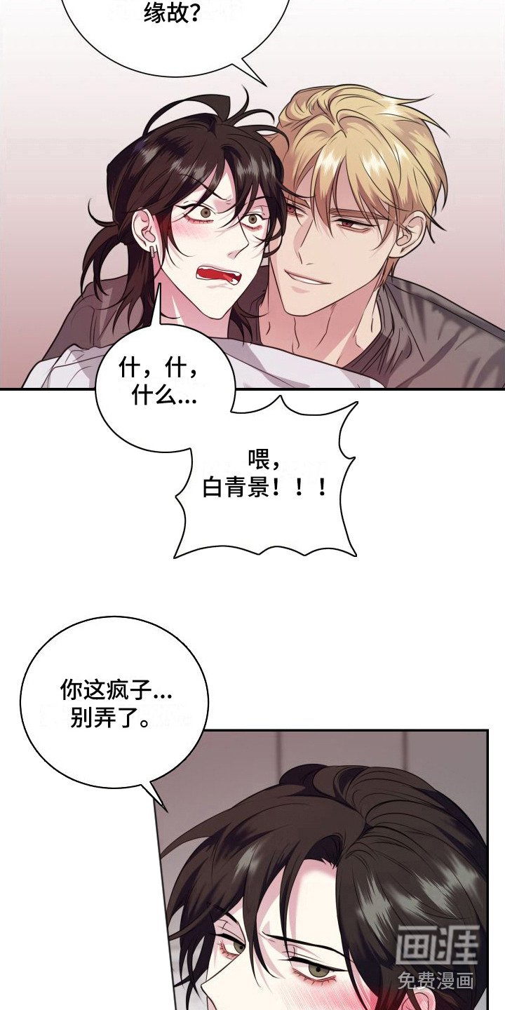 第13章：看着办 