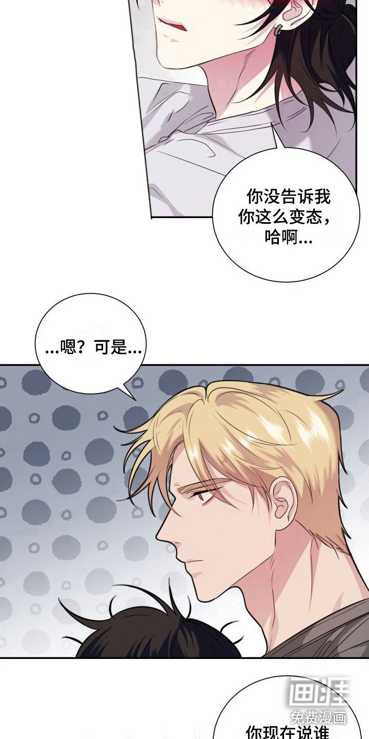 第13章：看着办 