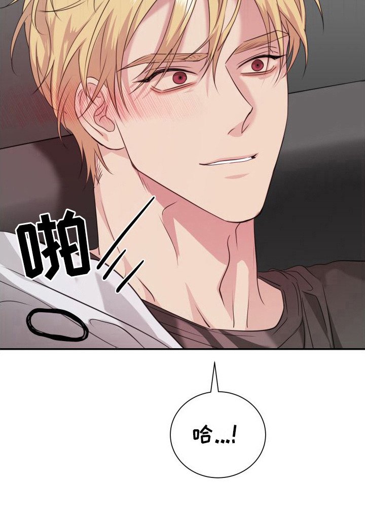 第13章：看着办 