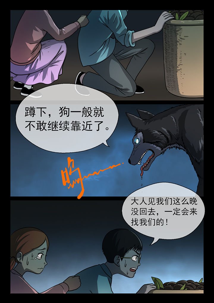 第13章：
