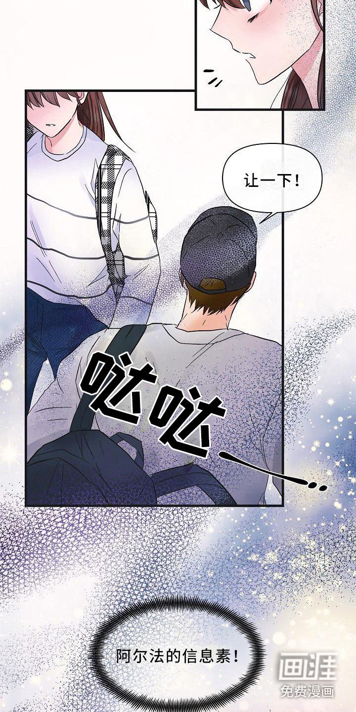第14章：信息素