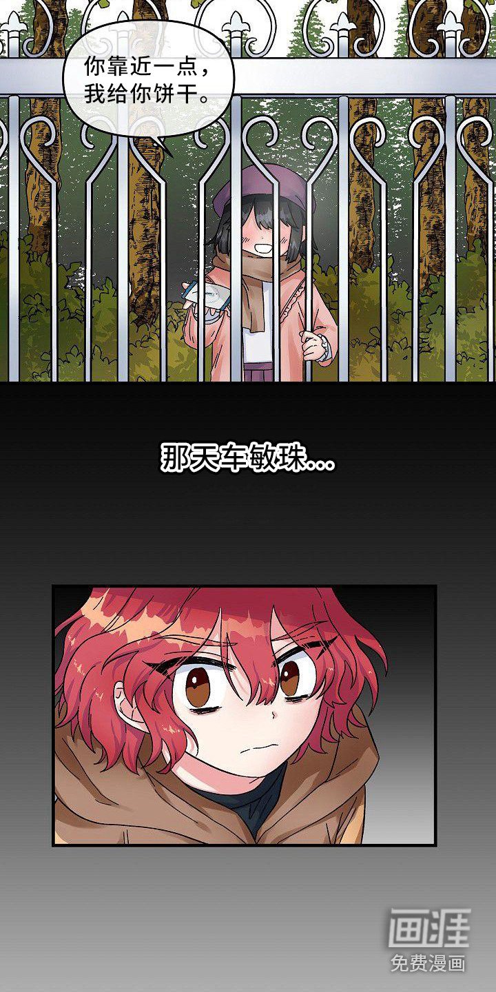 第4章：宠物