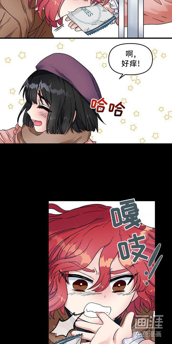 第4章：宠物