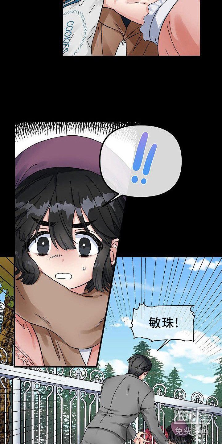 第4章：宠物